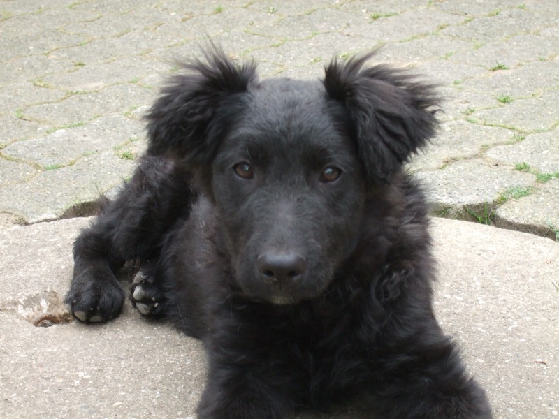 Ostern 2007 Orleshausen 030 